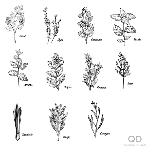 Étagère à fines herbes – Image 3