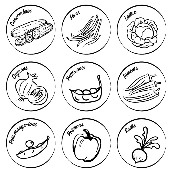 Pastilles d'identifications (Lot de 5) – Image 4